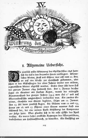 Witterung des Jahres. Naturerscheinungen.