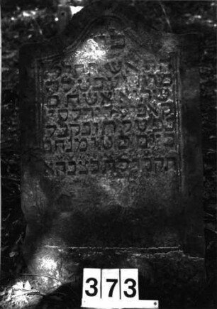 Grabstein 373 (Index: 99897959) Maße HxBxT: 99x58x9 cm: Grabstein 373