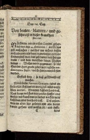 Das 14. Cap. Von beulen/ blattern/ und geschwulst in dieser kranckheit ihre cur