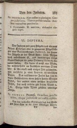 VI. Diptera