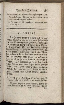 VI. Diptera
