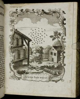 Tab XLV. p: 485.