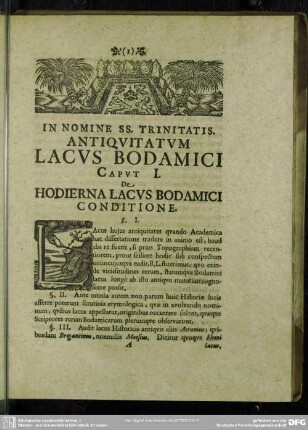 Caput I. De Hodierna Lacus Bodamici Conditione