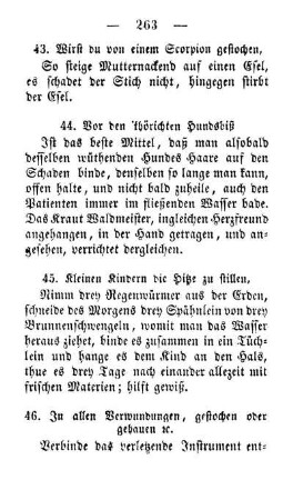 44. Vor den 'thörichten Hundsbiß