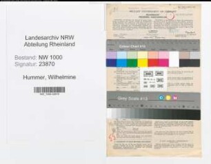 Entnazifizierung Wilhelmine Hummer, geb. 20.02.1899 (Angest.)