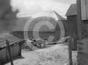 Bauernhof mit Pferdegespann in Litauen?
