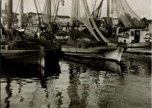 Swinemünde (heute Świnoujście). Im Hafen. Fischerboote auf der Swine