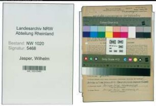 Entnazifizierung Wilhelm Jasper , geb. 06.10.1903 (Vertreter)
