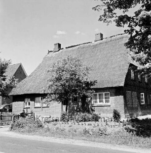 Reetdachkate mit Vorgarten: davor Baum: hinten links hinter Zaun Pkw: dahinter Wohnhaus
