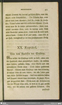 XX. Kapitel. Von den Auslesen der Setzlinge