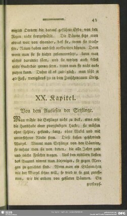XX. Kapitel. Von den Auslesen der Setzlinge