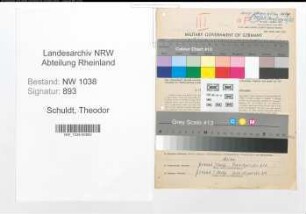 Entnazifizierung Theodor Schuldt , geb. 12.11.1885 (Angestellter)