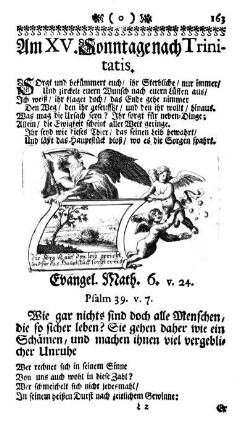Am XV. Sonntage nach Trinitatis.