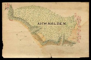 o.T. [Grundriss über die Waldung Aichhalden (im Heidenheimer Forst?)]
