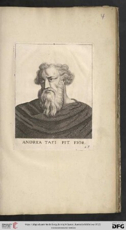Andrea Tafi Pit. Fior.