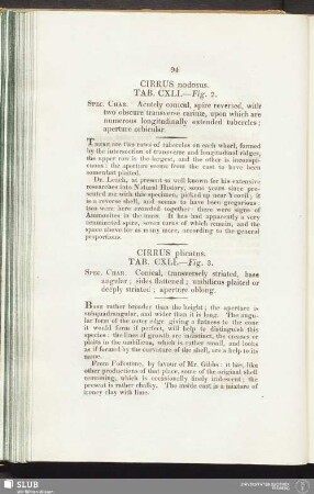 Cirrus plicatus. Tab. CXLI. — Fig. 3