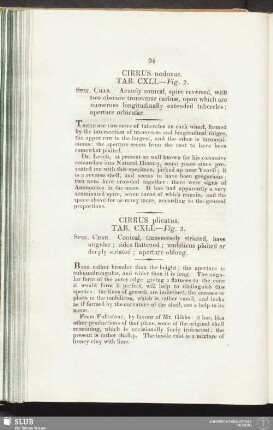 Cirrus plicatus. Tab. CXLI. — Fig. 3