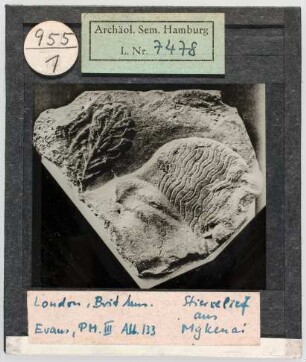 London, British Museum: Stierrelief aus Mykenai