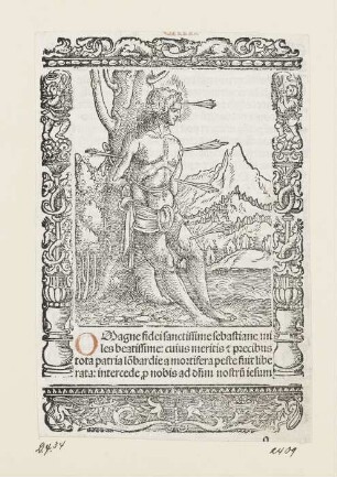 Heiliger Sebastian, aus: Peter Apian, "Hortulus anime", Nürnberg 1517