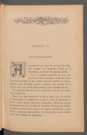 Capítulo VI - Los temores del cariño