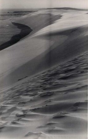 Sanddünen, Kurische Nehrung