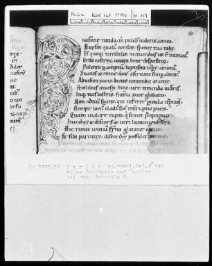 Vitae sanctorum, Hugo von Sankt Viktor, Williram von Ebersberg — Initiale P, Folio 159 recto