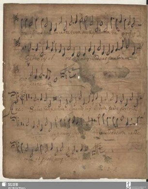 Anonymus: Ave regina coelorum