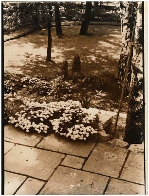 Garten Seydel, Berlin-Wannsee: Pflanzungen an der Terrasse