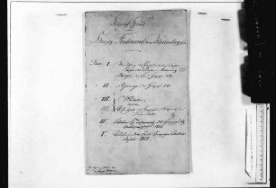 Herzog Ferdinand: Vermählung mit der ältesten Tochter des Fürsten von Metternich, Pauline von Metternich-Winneburg, sowie Wittum der Frau Herzogin (1816-1834)
