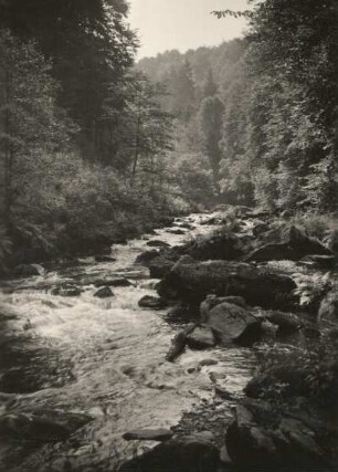 Landeskunde. Sachsen. Osterzgebirge. Rabenauer Grund. Die Rote Weißeritz mit ihrem Hangwald