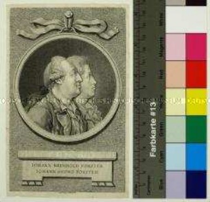 Doppelporträt des Naturforschers Johann Reinhold Forster und seines Sohnes Georg Forster
