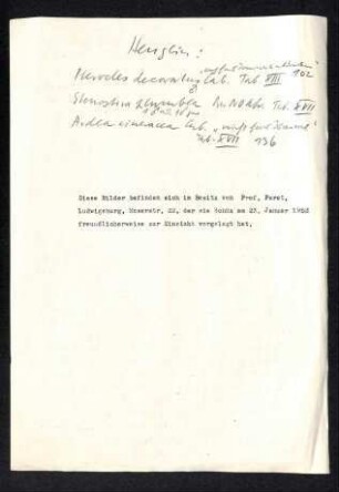 Notiz zu Bildern von Theodor Heuglin