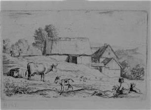 Die Riesenburg