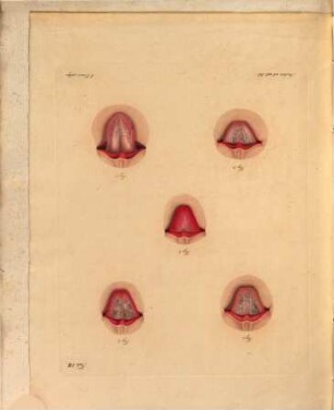 De lingua anatomica quaedam et semiotica : Diss. inaug. ; cum VIII tabulis
