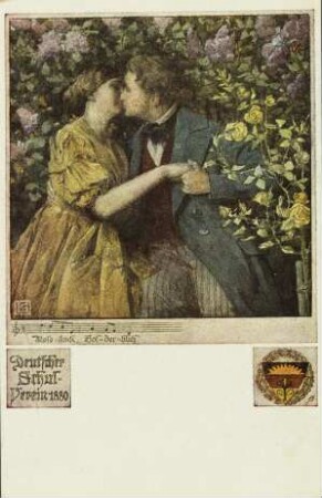Rosestock, Holderblüh'