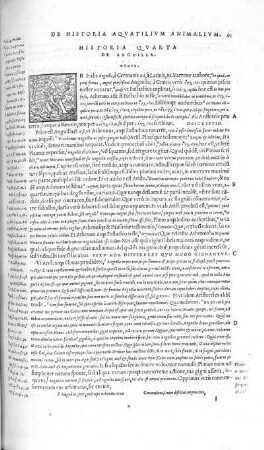 Historia Quarta. De Anguilla
