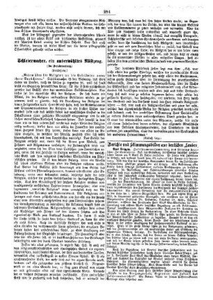 Schleiermacher, ein auserwähltes Rüstzeug : (Fortsetzung)