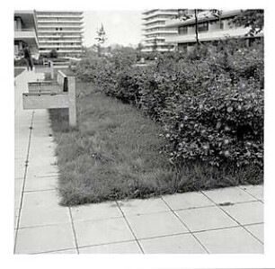 Hansjakob, Gottfried; München - Schwabing West, Rümannstr.; Wohnanlage Rümannstraße - Außenanlage, Beet mit Rosen und Sitzbank (Beton + Holz, Seitenansicht)