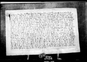 Frau Anna von Nellingen, Heinrichs von Nellingen sel. Tochter, verkauft ihre 12 Scheffel Korngült, die sie von dem Eckartshof zu Nellingen hat, ihrem Vetter Johann von Nellingen, Edelknecht, um 90 fl.