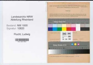 Entnazifizierung Ludwig Flucht, geb. 27.01.1902 (Beamter)