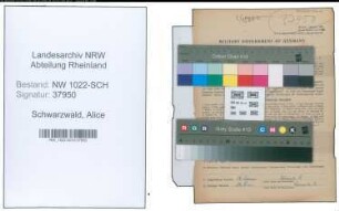 Entnazifizierung Alice Schwarzwald , geb. 10.10.1908 ()