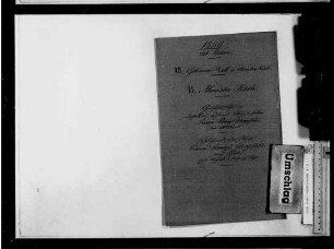 Geschäftsberichte während der Reise des Königs nach Linz (1849)