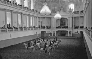 Wien: Spanische Reitschule, Training in der Reithalle