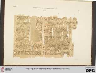 Planche CCXV-CCXXVII