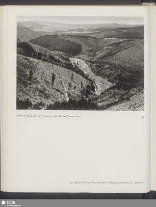 Blick vom Hang des Großen Eisenbergs ins Tal der Langen Lauter