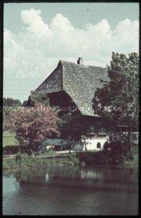 Haus mit Teich