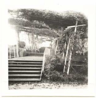 Bundesgartenschau 1957, Köln: Pergola