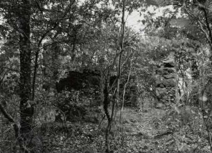 Königshain (Kreis Görlitz), Steinberg. Ruine