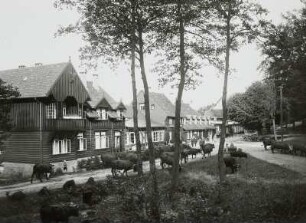 Bad Harzburg, Molkenhaus, Eingangsseite