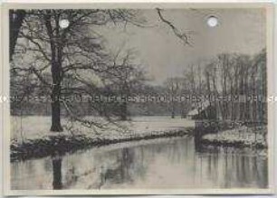 Winterlandschaft, Hirschpark